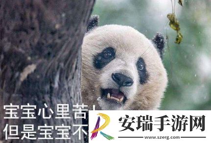 络用语宝宝心里苦但宝宝不说是什么梗