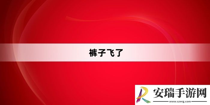 裤子飞了是什么梗网络用语