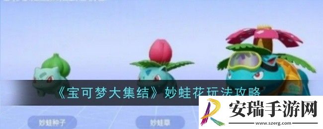 宝可梦大集结妙蛙花怎么玩