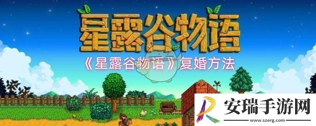 星露谷物语怎么复婚