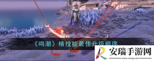 鸣潮椿技能最佳升级顺序是什么
