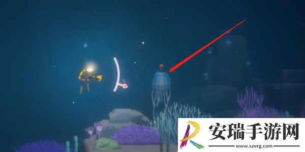 潜水员戴夫箱水母怎么抓