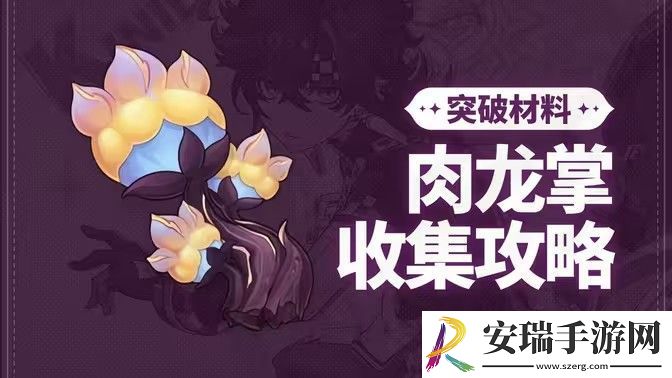 原神肉龙掌采集路线大全
