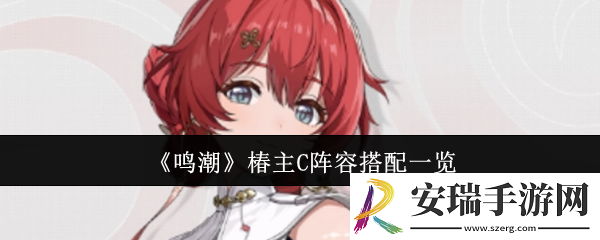 鸣潮椿主C阵容怎么搭配