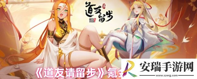 道友请留步玩什么阵容比较好