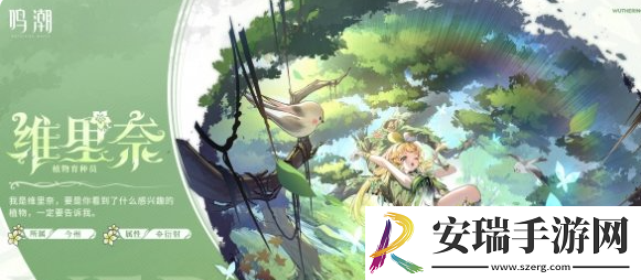 鸣潮椿主C阵容怎么搭配