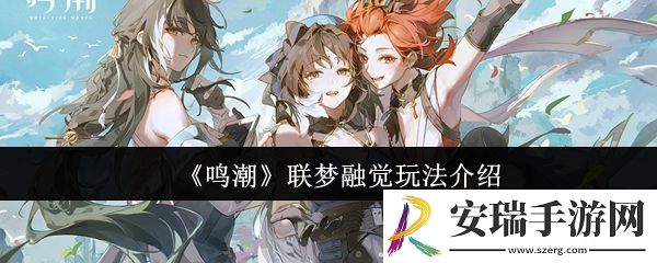 鸣潮联梦融觉怎么玩