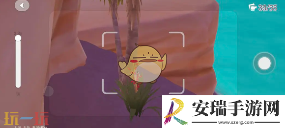 心动小镇银光宝石丽金龟在哪抓