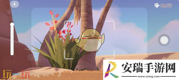 心动小镇银光宝石丽金龟在哪抓