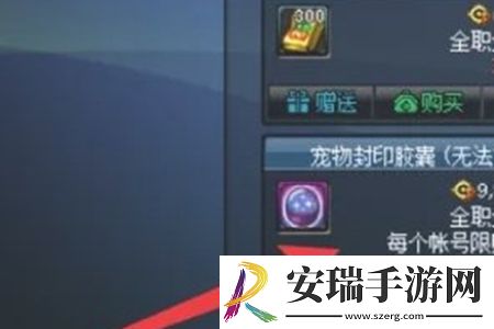 地下城与勇士起源宠物封印胶囊怎么用