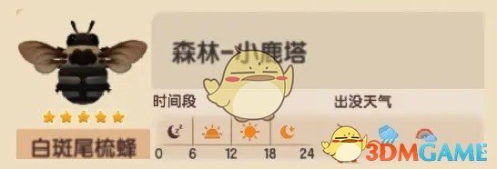 心动小镇白斑尾梳蜂分布在哪
