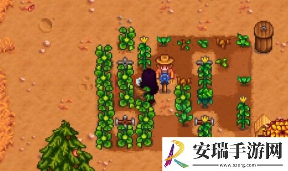 星露谷物语雕刻南瓜任务怎么做