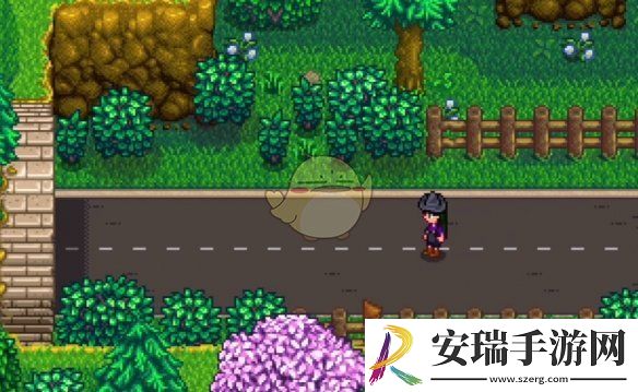 星露谷物语神秘的齐任务怎么做