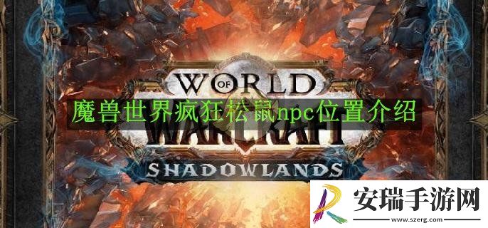 魔兽世界疯狂松鼠npc在哪里