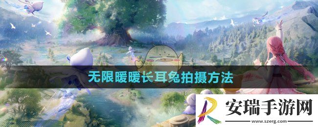 无限暖暖长耳兔怎么拍摄