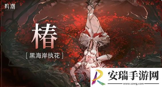 鸣潮1.4版本椿角色背景是什么