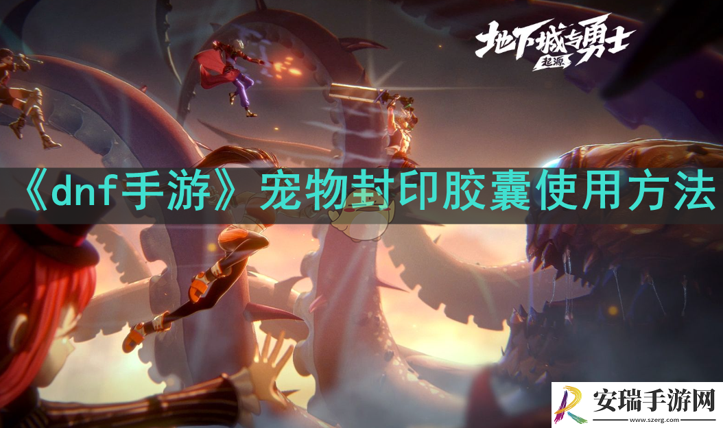 dnf手游宠物封印胶囊怎么用