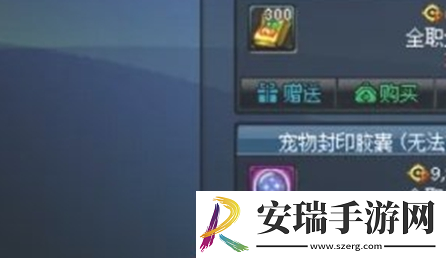 dnf手游宠物封印胶囊怎么用