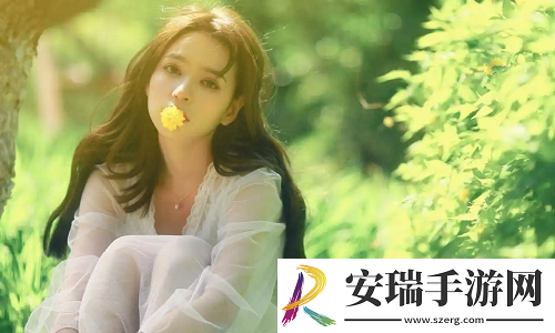 美国人与动物胶配方有几种