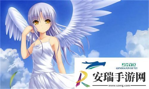 四库永久地域名2024