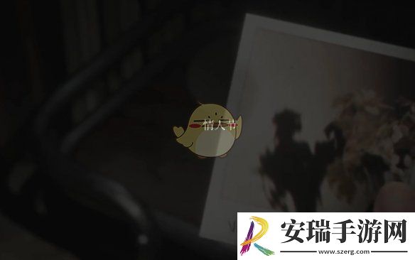 寂静岭2重制版奇怪照片3的位置在哪