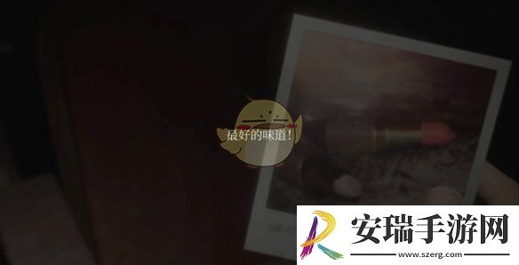 寂静岭2重制版奇怪照片11的位置在哪