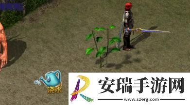 王者传奇怎么种植