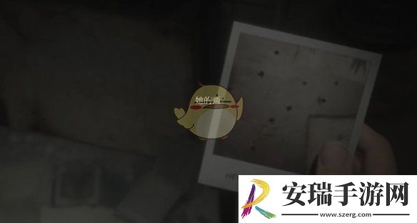 寂静岭2重制版奇怪照片12的位置在哪