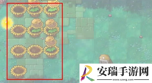 植物大战僵尸杂交版挑战模式第57关怎么过关