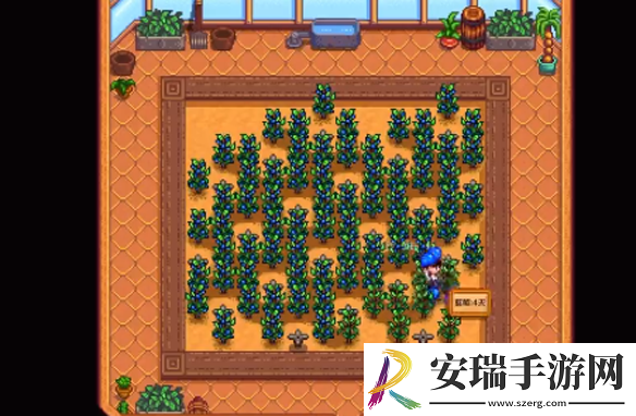 星露谷物语神秘的齐2任务怎么做