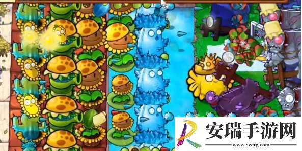 植物大战僵尸杂交版挑战模式第43关怎么过关