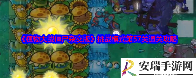 植物大战僵尸杂交版挑战模式第57关怎么过关