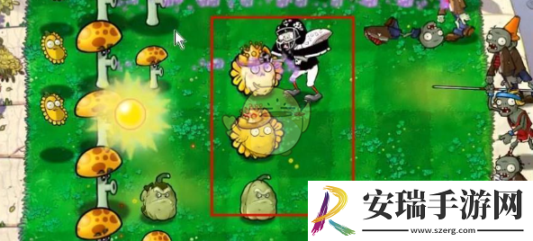 植物大战僵尸杂交版挑战模式第55关怎么过关
