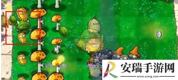 植物大战僵尸杂交版挑战模式第55关怎么过关