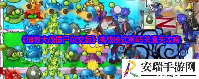 植物大战僵尸杂交版挑战模式第65关怎么过关