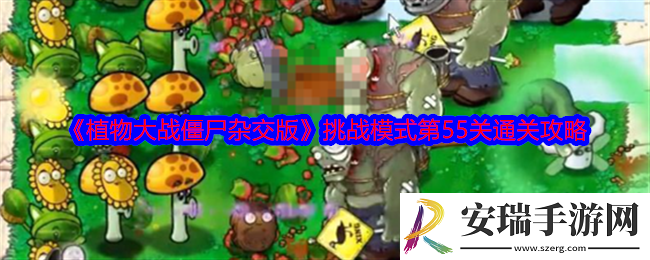 植物大战僵尸杂交版挑战模式第55关怎么过关