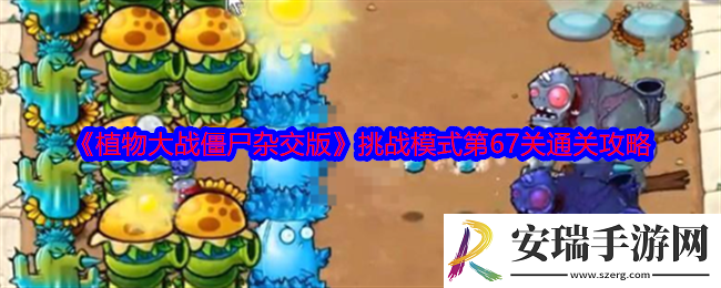 植物大战僵尸杂交版挑战模式第67关怎么过关