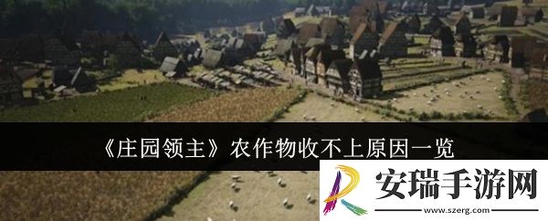庄园领主农作物收不上是什么原因