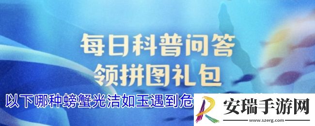 以下哪种螃蟹光洁如玉遇到危险时会假装成石头