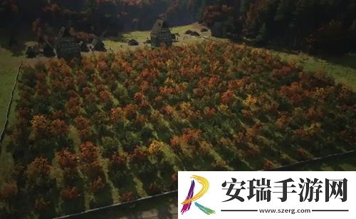庄园领主长矛怎么做