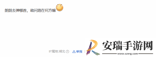 TGA在微博关注了郎朗