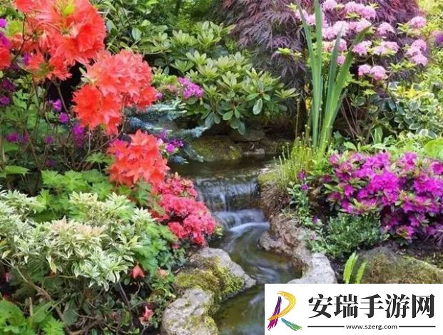小宝探花一场融合科学探究和自然美学的独特花卉世界之旅
