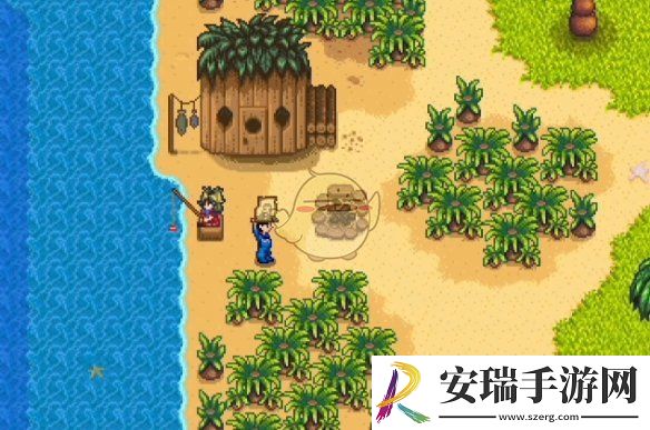 星露谷物语海盗的妻子任务怎么做
