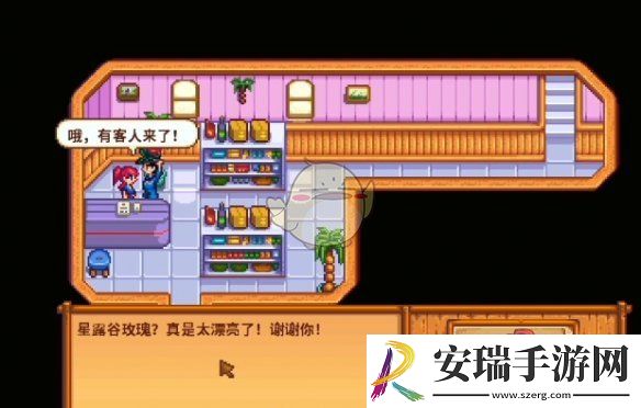 星露谷物语海盗的妻子任务怎么做