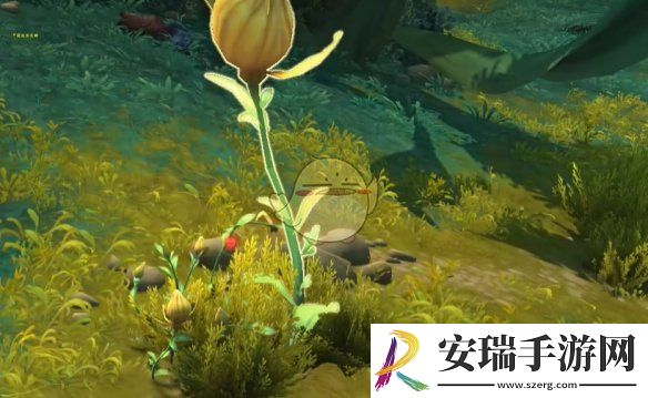 魔兽世界调味生活任务怎么做
