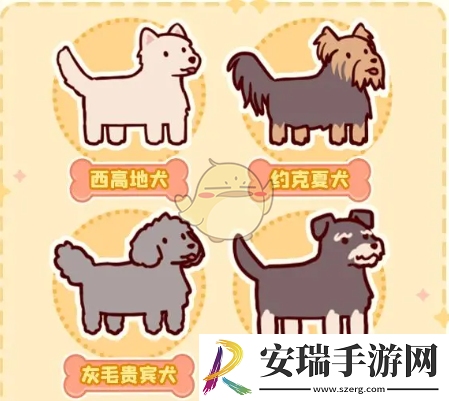 我的休闲时光完成萌宠乐园课程奖励有什么