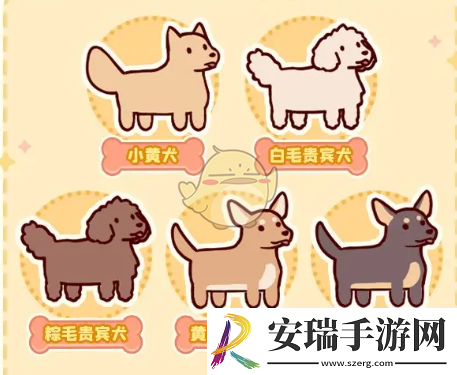 我的休闲时光怎么领养狗狗