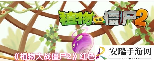 植物大战僵尸2红色挂件哪个好