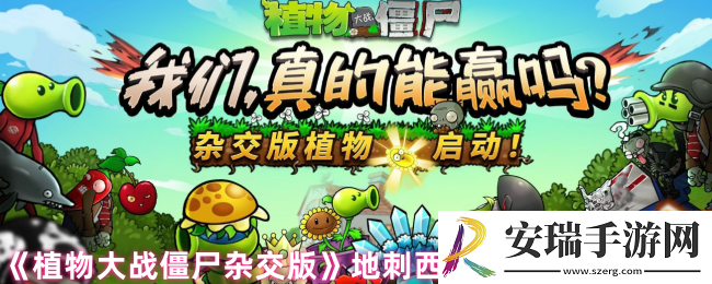 植物大战僵尸杂交版地刺西瓜好用吗