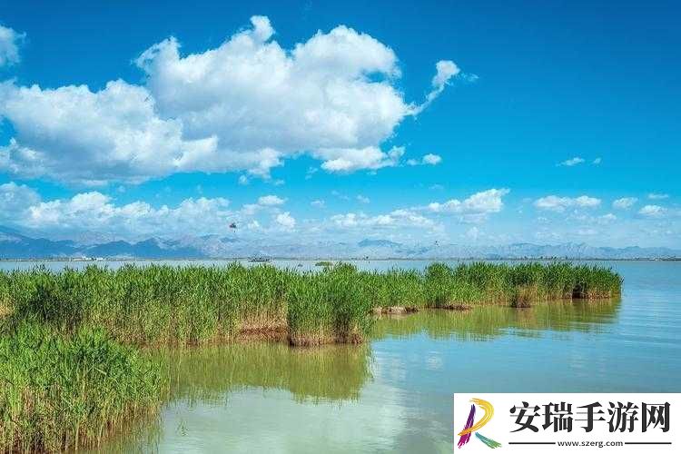 怡红院导航